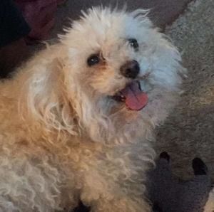 Meet your Posher, Garrett